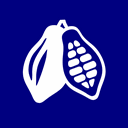 Cocoa Beans
